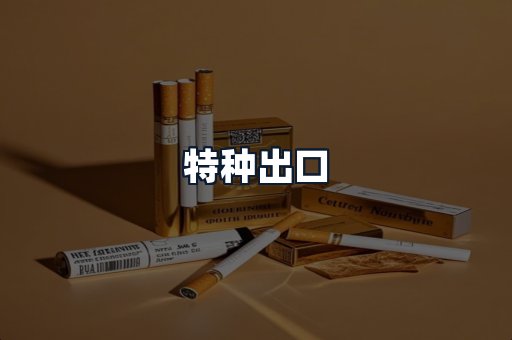 特种出口